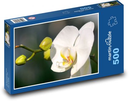 Bílá orchidej - květ, rostlina - Puzzle 500 dílků, rozměr 46x30 cm