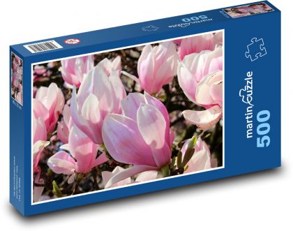 Magnólie - růžové květy, strom - puzzle 500 dílků