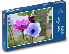 Sasanka - kvetina, záhrada Puzzle 500 dielikov - 46 x 30 cm 