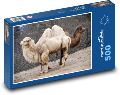 Camel - safari, animal - Puzzle of 500 pieces, size 46x30 cm 