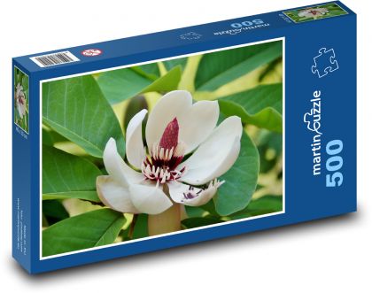 Magnólie - okrasný strom, květ  - Puzzle 500 dílků, rozměr 46x30 cm