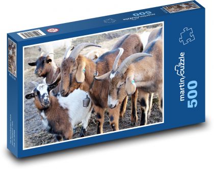 Kozy - farma, zvířata - puzzle 500 dílků
