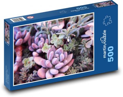 Sukkulenten - Kakteen, Blumen - Puzzle - 500 Teile