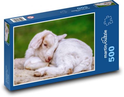 Koza - jagnięcina, młode - Puzzle 500 elementów, rozmiar 46x30 cm