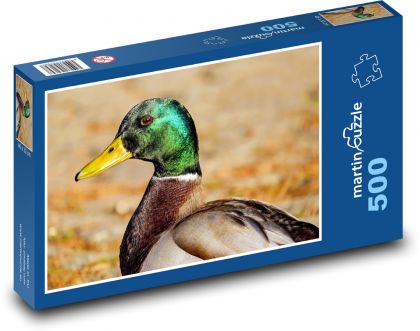 Divoká kachna - kačer, pták - puzzle 500 dílků