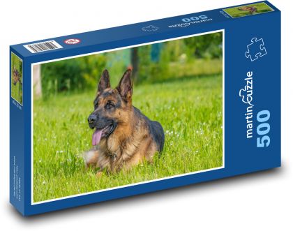 German Shepherd - dog, meadow - Puzzle of 500 pieces, size 46x30 cm 