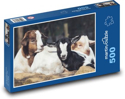 Kozy - młode, zwierzęta - Puzzle 500 elementów, rozmiar 46x30 cm