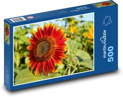 Slnečnica - červený kvet, pole kvetov - Puzzle 500 dielikov, rozmer 46x30 cm 