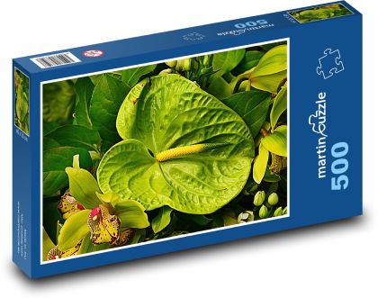 Anturie - květ, rostlina - Puzzle 500 dílků, rozměr 46x30 cm