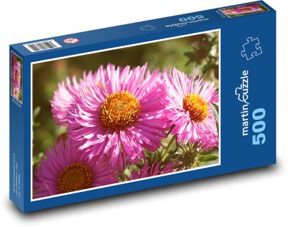 Pink flowers - asters, plants - Puzzle of 500 pieces, size 46x30 cm 