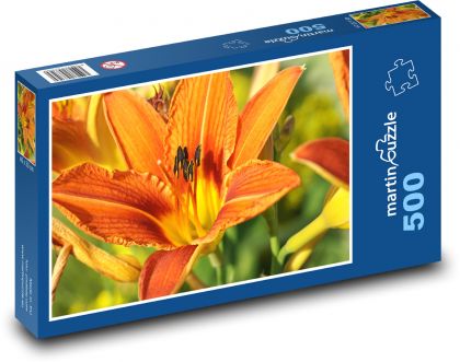 Orangenlilien - Blumen, Pflanzen - Puzzle - 500 Teile