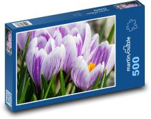 Crocuses - flowers, garden Puzzle of 500 pieces - 46 x 30 cm
