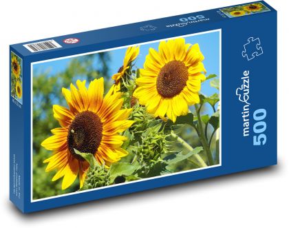 Sonnenblumen - gelbe Blumen, Sommer - Puzzle - 500 Teile