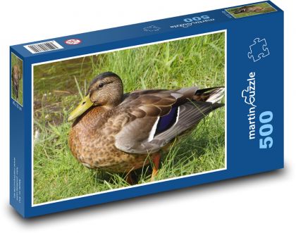 Kaczka - ptak, zwierzę - Puzzle 500 elementów, rozmiar 46x30 cm
