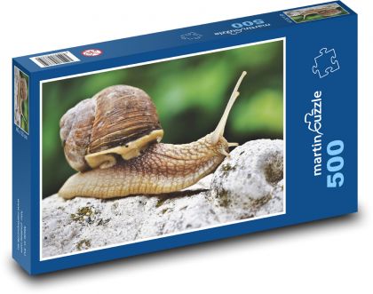 Slimák - mäkkýše, plazenie - Puzzle 500 dielikov, rozmer 46x30 cm 