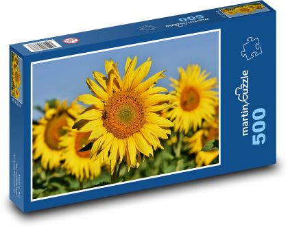 Pole słonecznika - żółte kwiaty, lato - Puzzle 500 elementów, rozmiar 46x30 cm