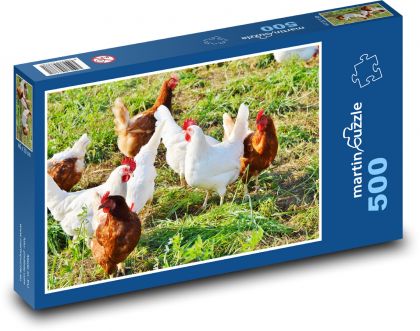 Kuracie mäso - kuracie mäso, hydina - Puzzle 500 dielikov, rozmer 46x30 cm 