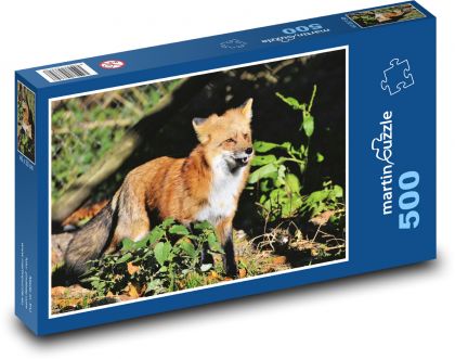 Fox - wild animal, predator - Puzzle of 500 pieces, size 46x30 cm 