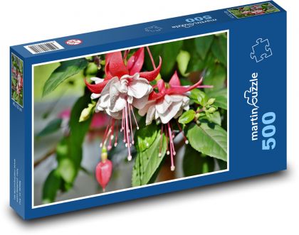 Fuchsie - květ, rostlina - Puzzle 500 dílků, rozměr 46x30 cm