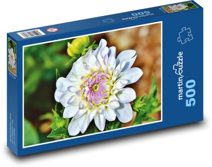 Jiřina - květ, zahrada - Puzzle 500 dílků, rozměr 46x30 cm