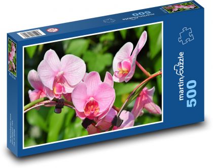Orchidea - różowe kwiaty, rośliny - Puzzle 500 elementów, rozmiar 46x30 cm