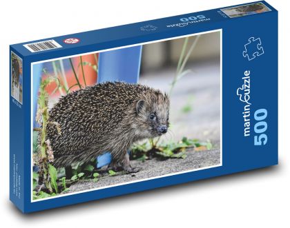 Hedgehog - wild animal, mammal - Puzzle of 500 pieces, size 46x30 cm 