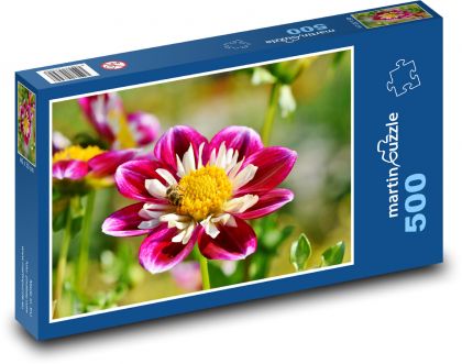 Cínie - letní květina, kytka  - Puzzle 500 dílků, rozměr 46x30 cm