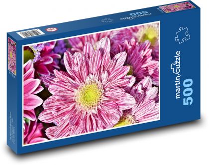 Astra - květina, rostlina - Puzzle 500 dílků, rozměr 46x30 cm