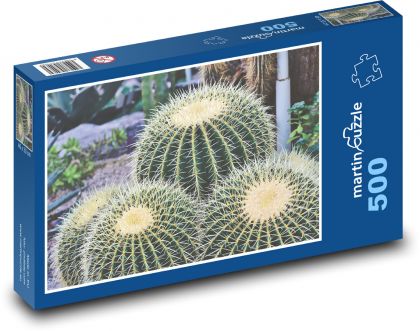 Kaktus - trny, pichlavý - puzzle 500 dílků