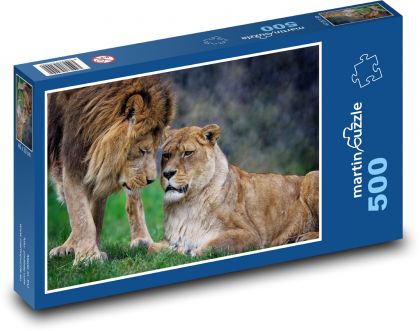 Löwe und Löwin - Tiere, Afrika - Puzzle - 500 Teile