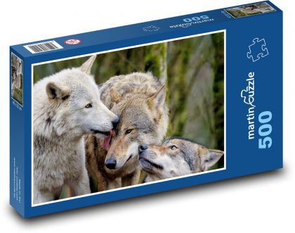 Grey wolves - predators, mammals - Puzzle of 500 pieces, size 46x30 cm 