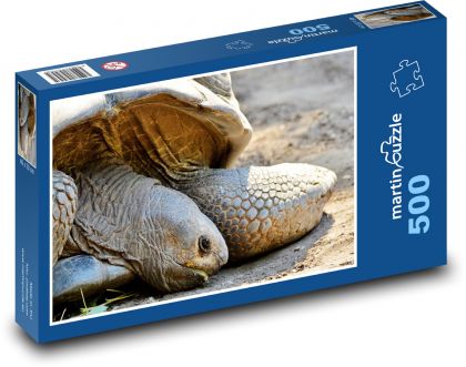Obří želva - plaz, zoo - Puzzle 500 dílků, rozměr 46x30 cm