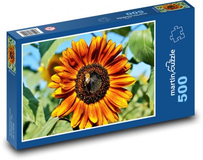 Slunečnice - květina, rostlina - Puzzle 500 dílků, rozměr 46x30 cm