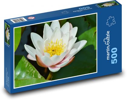 Lekná - vodný kvet, rybník - Puzzle 500 dielikov, rozmer 46x30 cm 