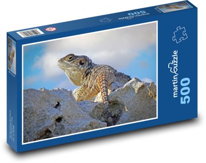 Agama - reptile, lizard - Puzzle of 500 pieces, size 46x30 cm 
