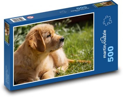Pes - zlatý retriever, šteniatko - Puzzle 500 dielikov, rozmer 46x30 cm 