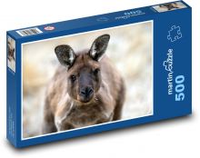 Klokan - zvíře, Austrálie Puzzle 500 - 46x30 cm