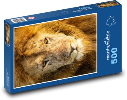 Lew - dzikie zwierzę, ssak - Puzzle 500 elementów, rozmiar 46x30 cm