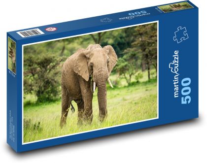 Africký slon - zviera, savana - Puzzle 500 dielikov, rozmer 46x30 cm 