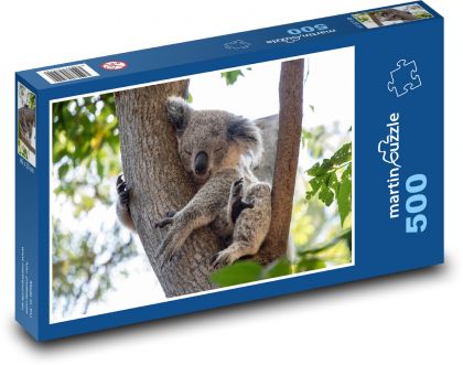 Koala - medvídek, zvíře - puzzle 500 dílků