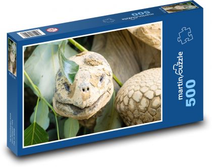 Galapágská obří želva - plaz, zvíře - Puzzle 500 dílků, rozměr 46x30 cm