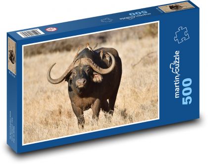 Büffel - Wildtier, Savanne - Puzzle - 500 Teile