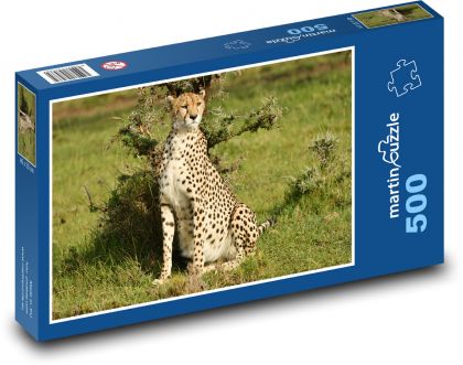 Gepard - divoká zvěř, Afrika - Puzzle 500 dílků, rozměr 46x30 cm