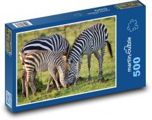 Zebra - pruhované zvíře, savec  Puzzle 500 - 46x30 cm