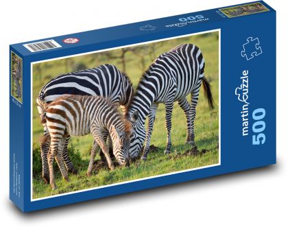 Zebra - pruhované zvíře, savec  - puzzle 500 dílků