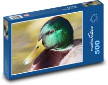 Wild duck - duck, water bird Puzzle of 500 pieces - 46 x 30 cm