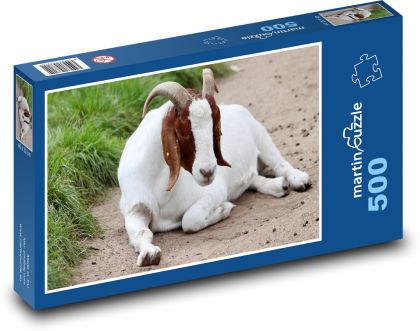 Domáce kozy - rohy, zvieratá - Puzzle 500 dielikov, rozmer 46x30 cm 