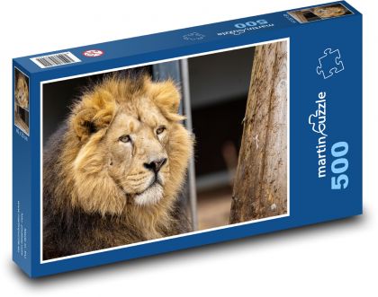 Lion - mane, animal - Puzzle of 500 pieces, size 46x30 cm 