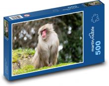 Opica - cicavec, zoo Puzzle 500 dielikov - 46 x 30 cm 