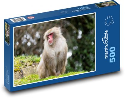 Opica - cicavec, zoo - Puzzle 500 dielikov, rozmer 46x30 cm 